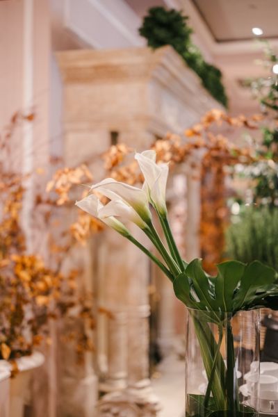 Bild147_sandramarusicphotography_day2 Large.jpeg